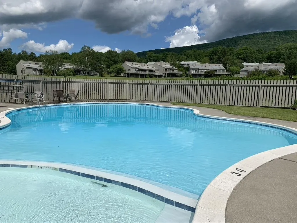 103-11 Vaughn Farm Road Manchester VT 05255