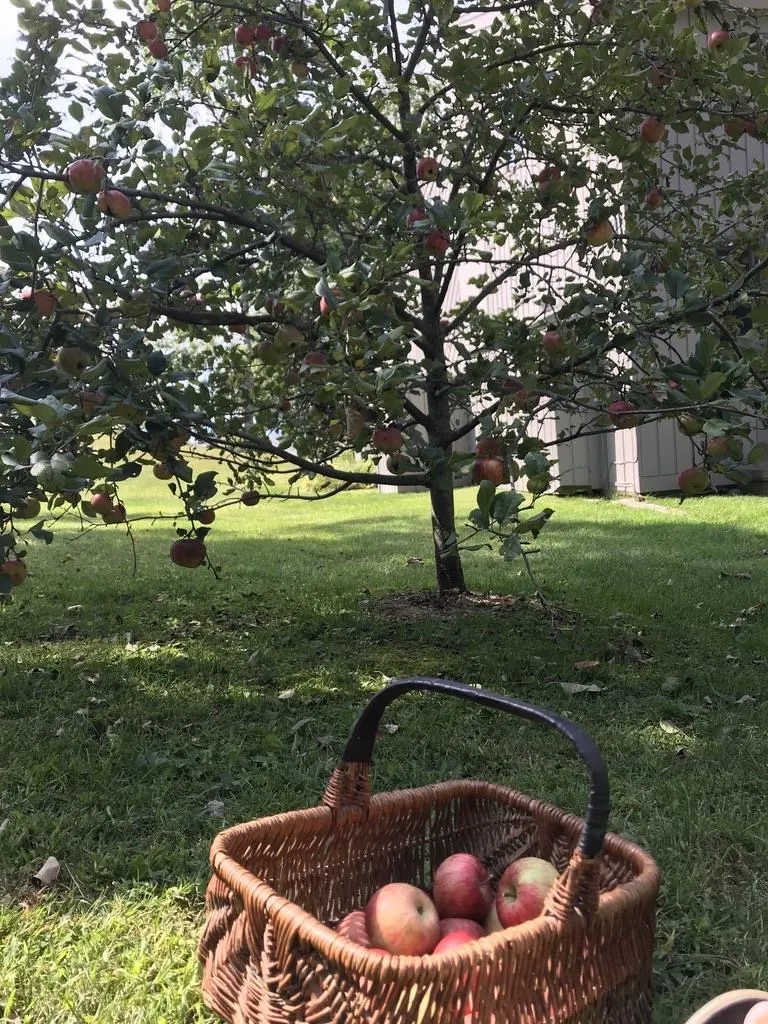 103-11 Vaughn Farm Road Manchester VT 05255