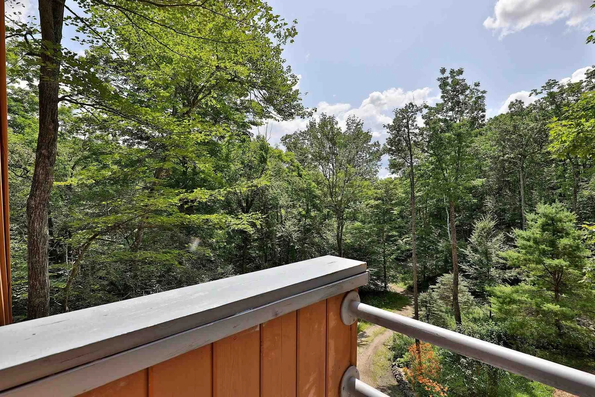 785 Stagecoach Road Grafton VT 05146