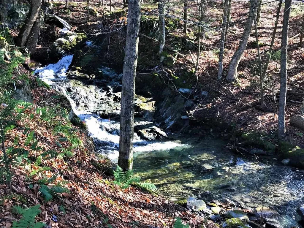 1052 Ireland Road Starksboro VT 05487