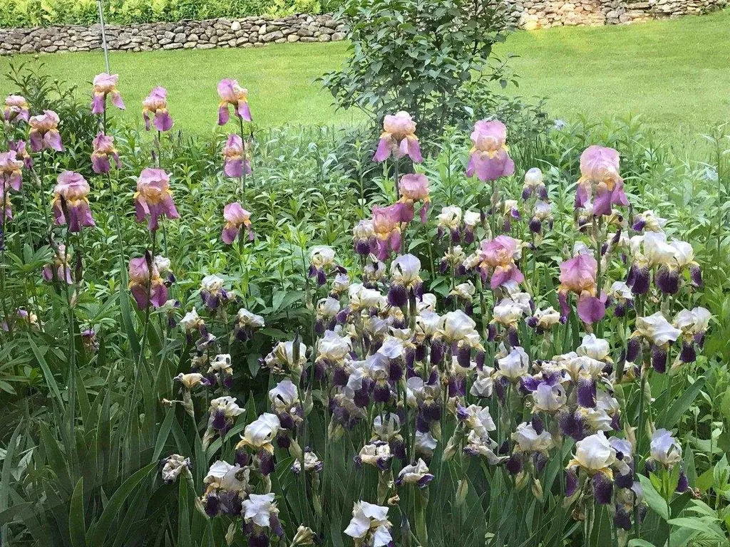 1052 Ireland Road Starksboro VT 05487