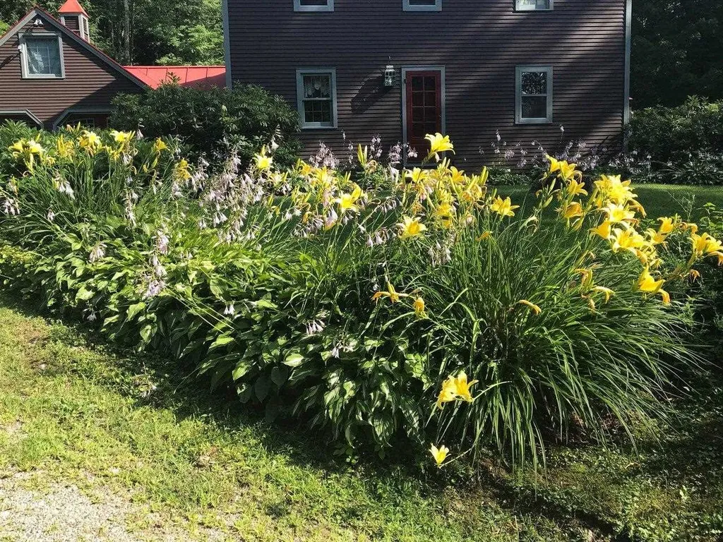 1052 Ireland Road Starksboro VT 05487