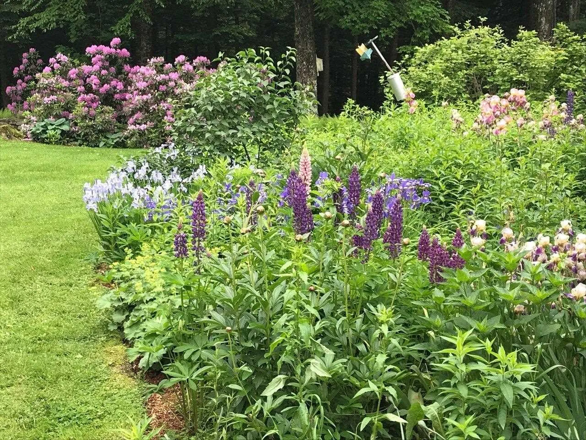 1052 Ireland Road Starksboro VT 05487