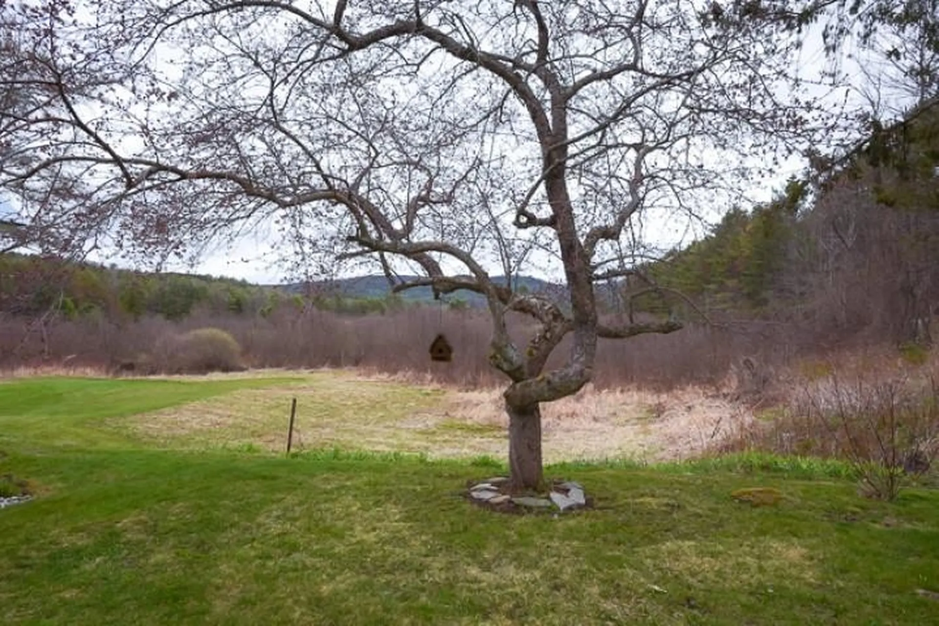 398 Middlebrook Road West Fairlee VT 05083
