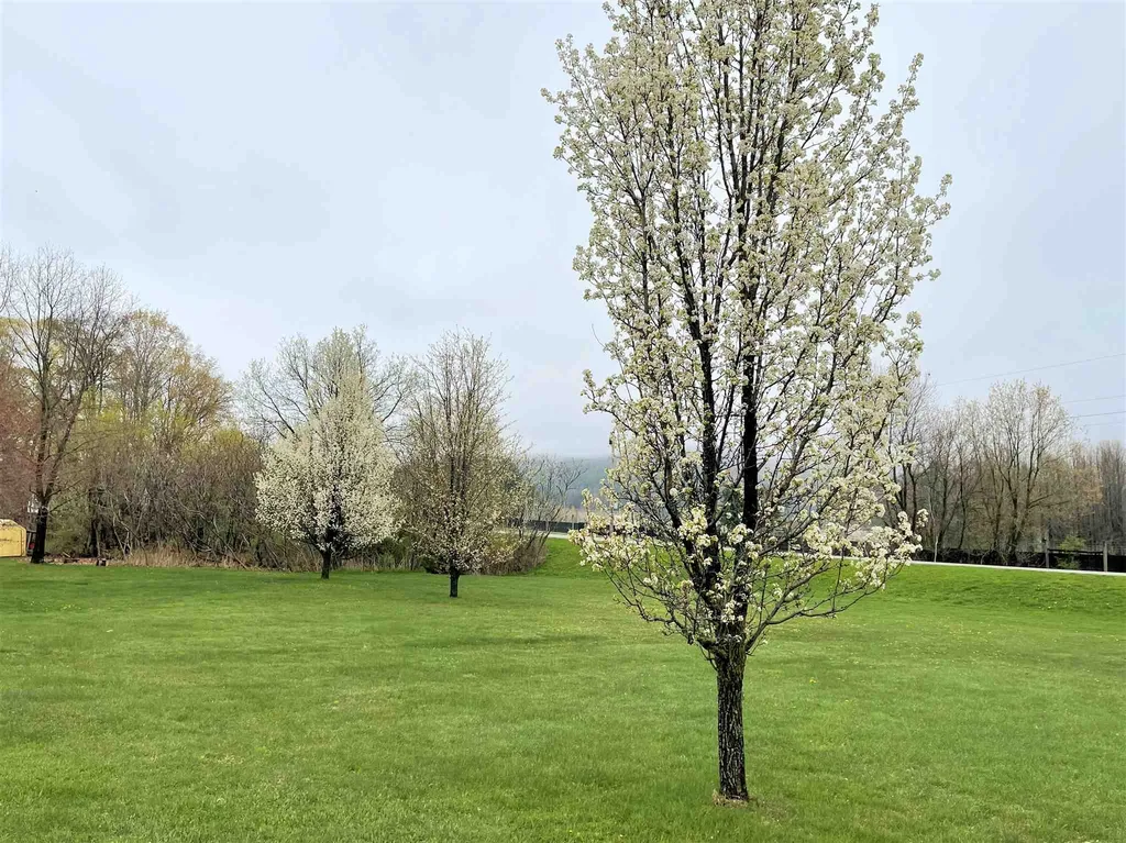 56 Tyler Bridge Road Hinesburg VT 05461