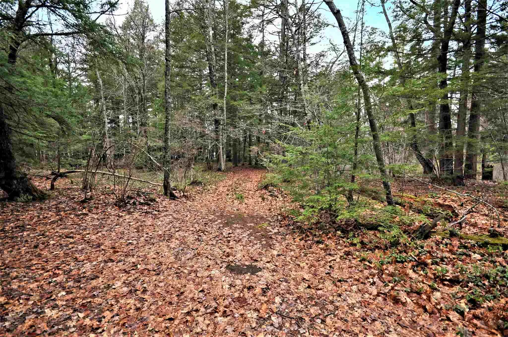49 Lakeshore Drive Hebron NH 03241