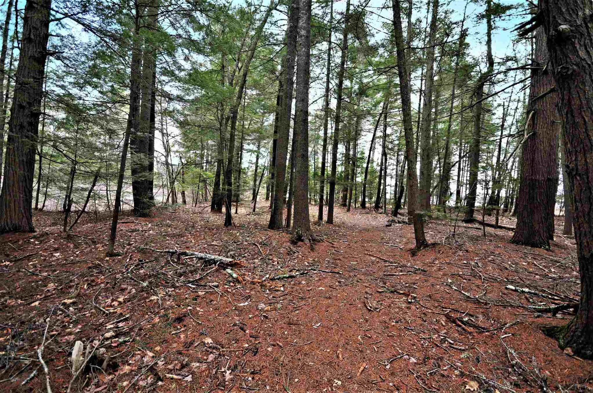 49 Lakeshore Drive Hebron NH 03241
