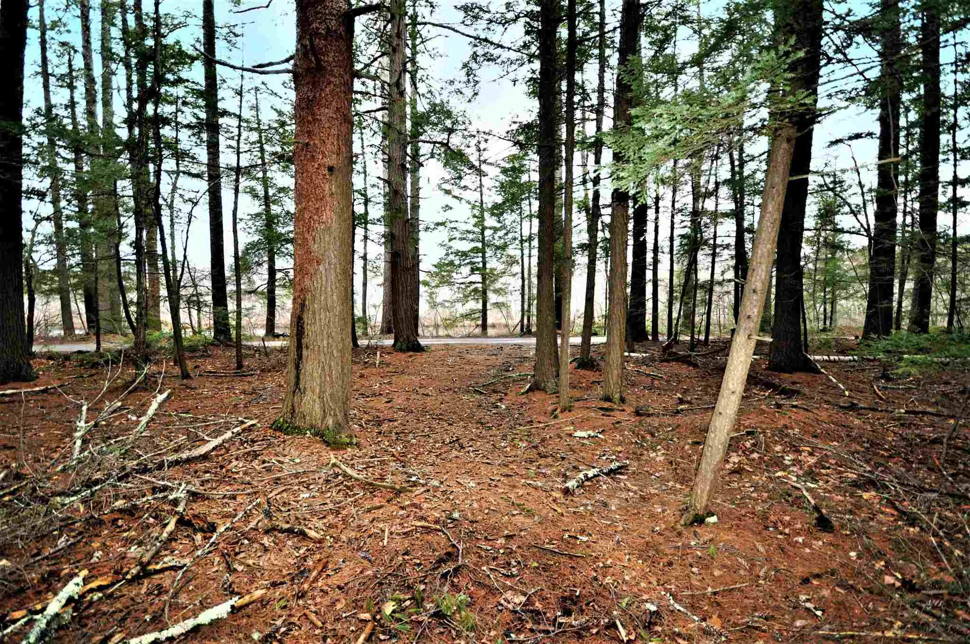 49 Lakeshore Drive Hebron NH 03241