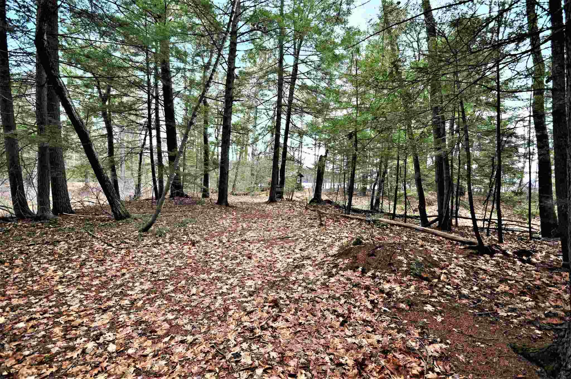 49 Lakeshore Drive Hebron NH 03241