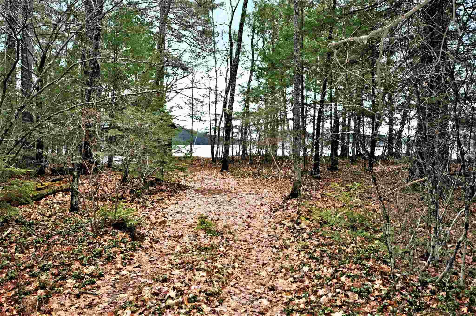 49 Lakeshore Drive Hebron NH 03241