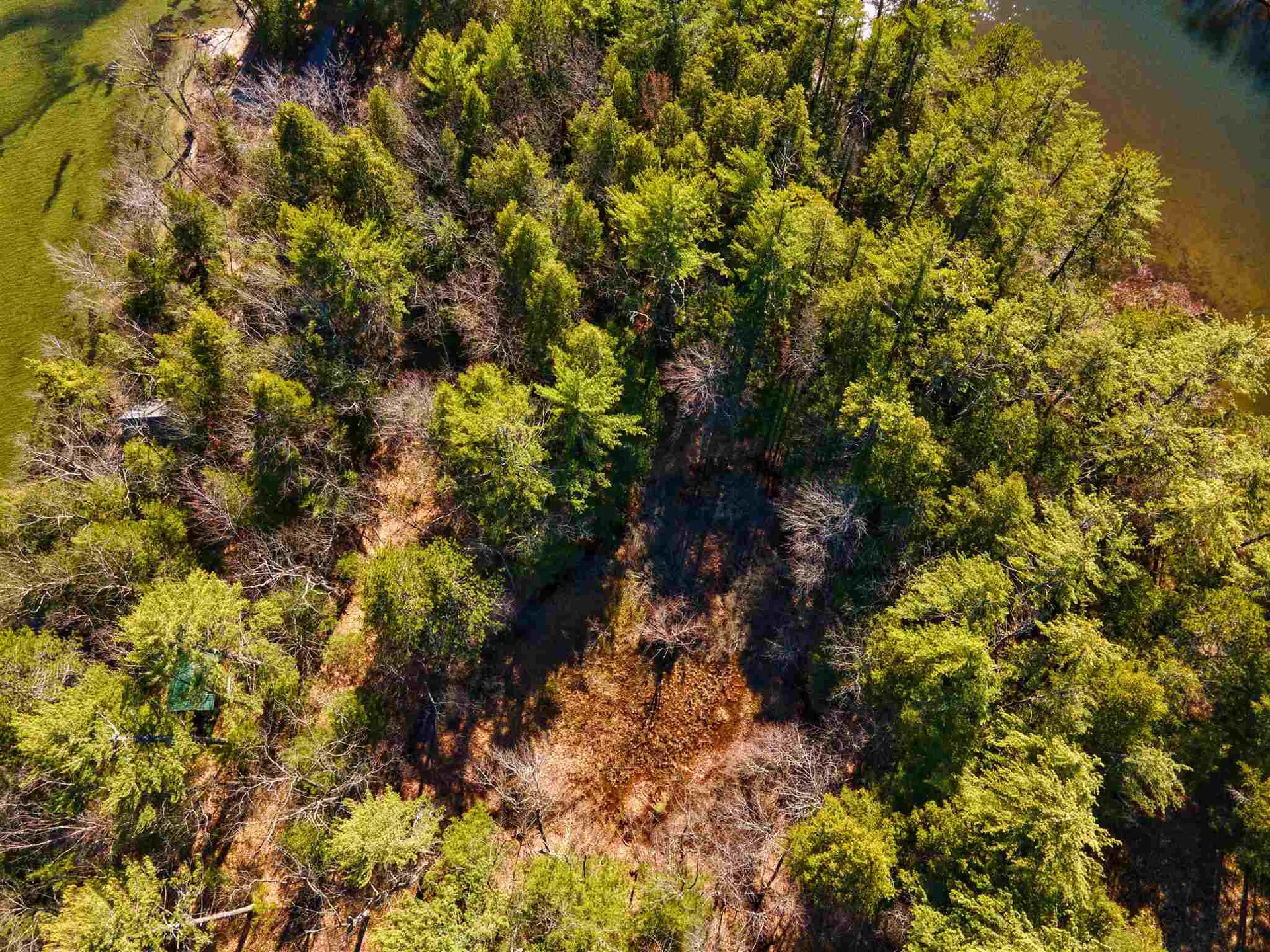 49 Lakeshore Drive Hebron NH 03241