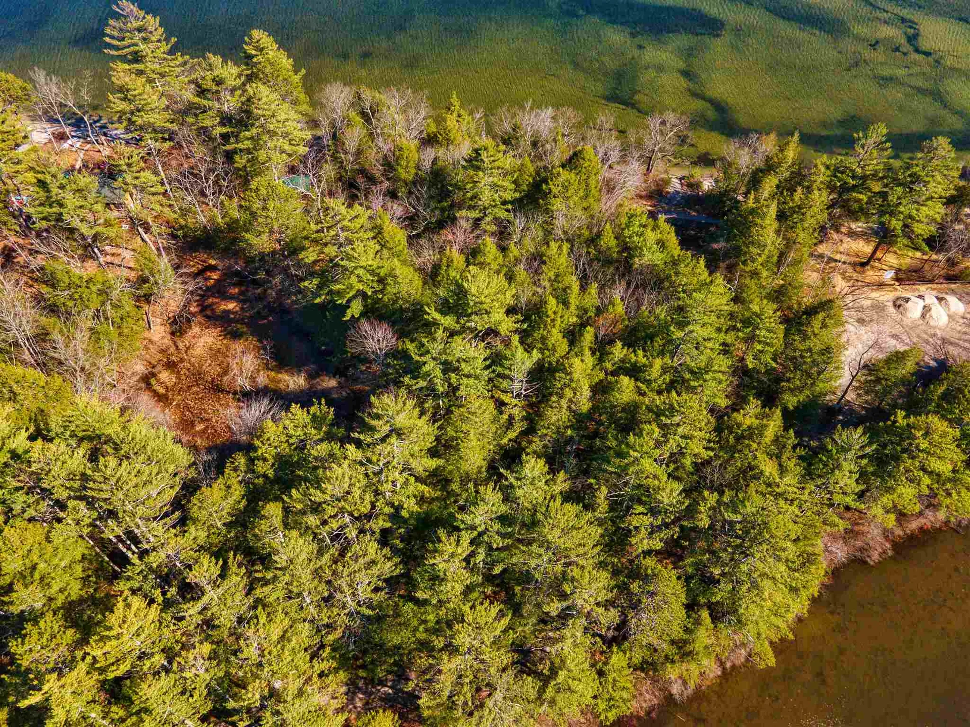 49 Lakeshore Drive Hebron NH 03241