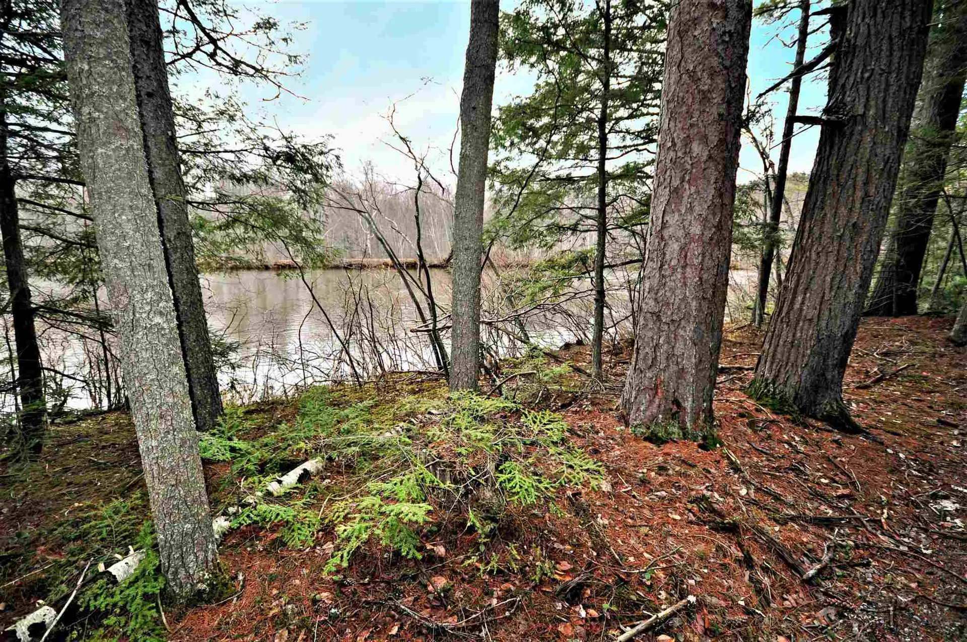 49 Lakeshore Drive Hebron NH 03241
