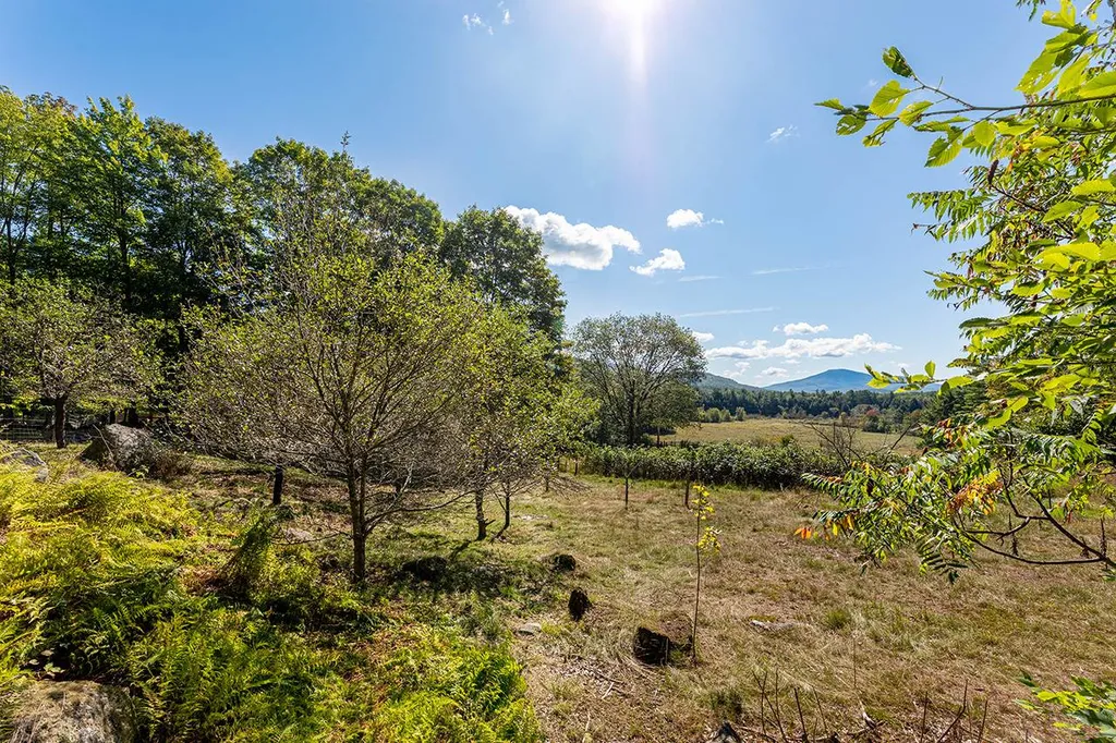 86 Walker Brook Road Danbury NH 03230
