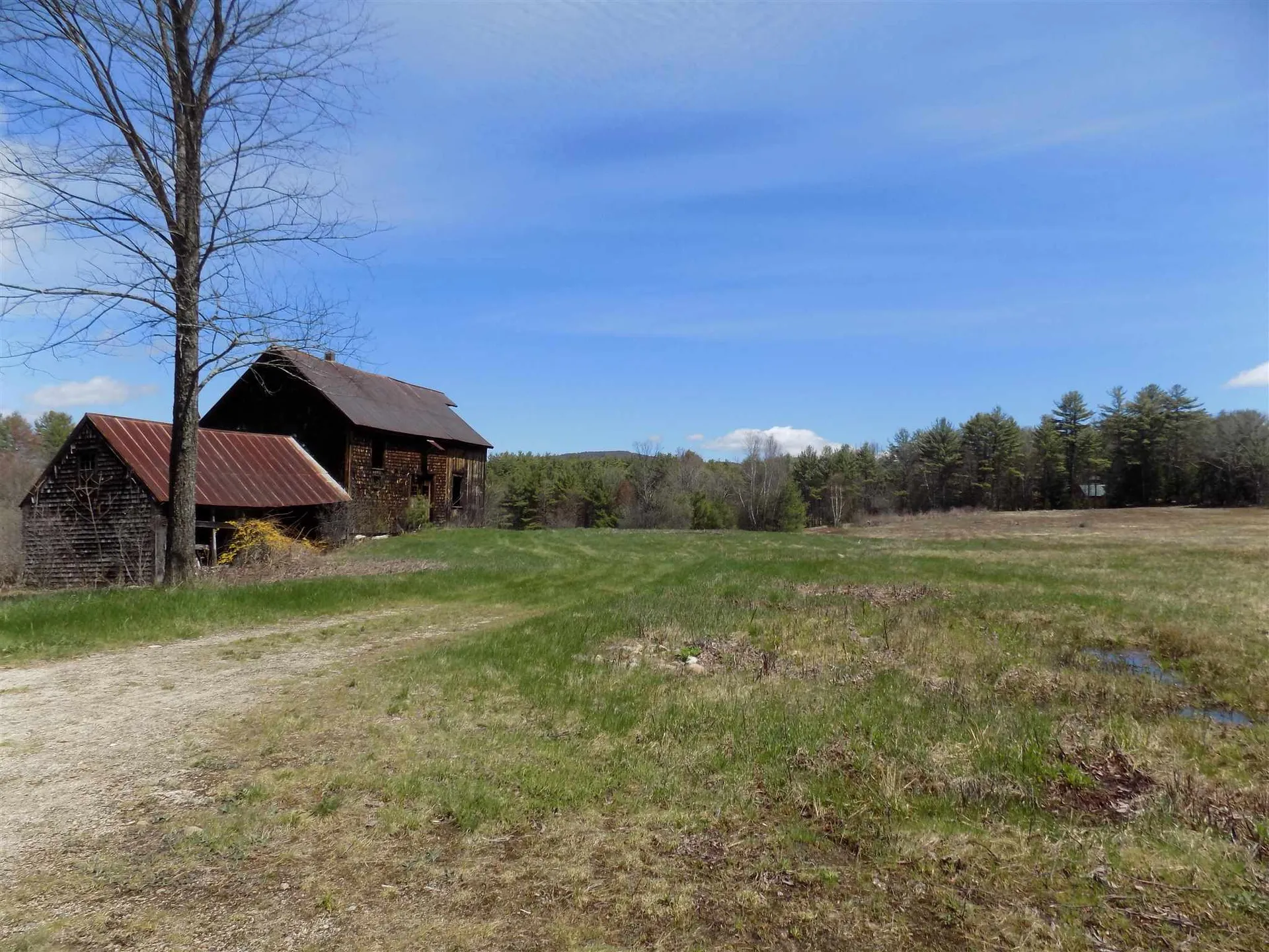 1250 Route 16 Ossipee NH 03864