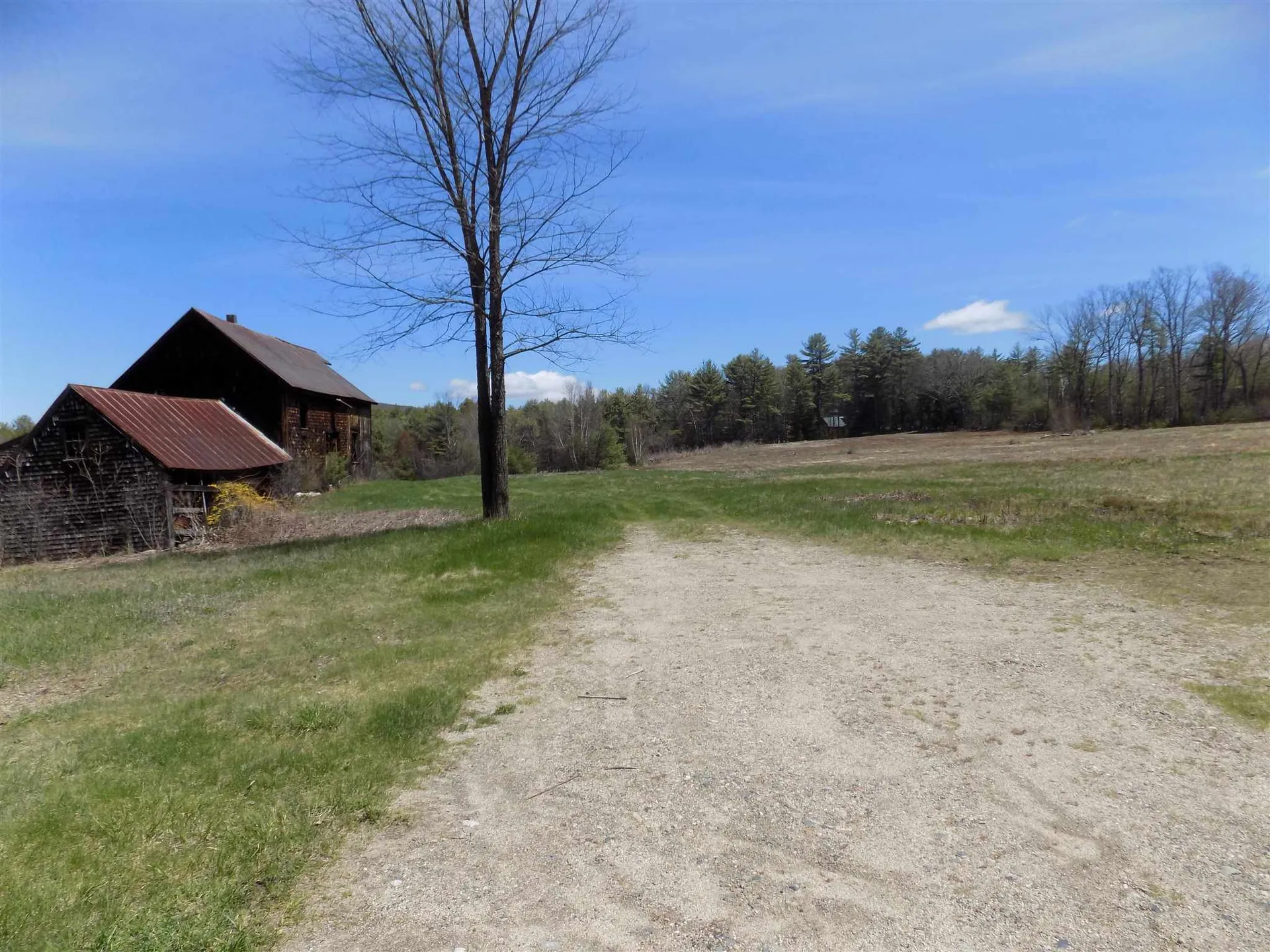 1250 Route 16 Ossipee NH 03864