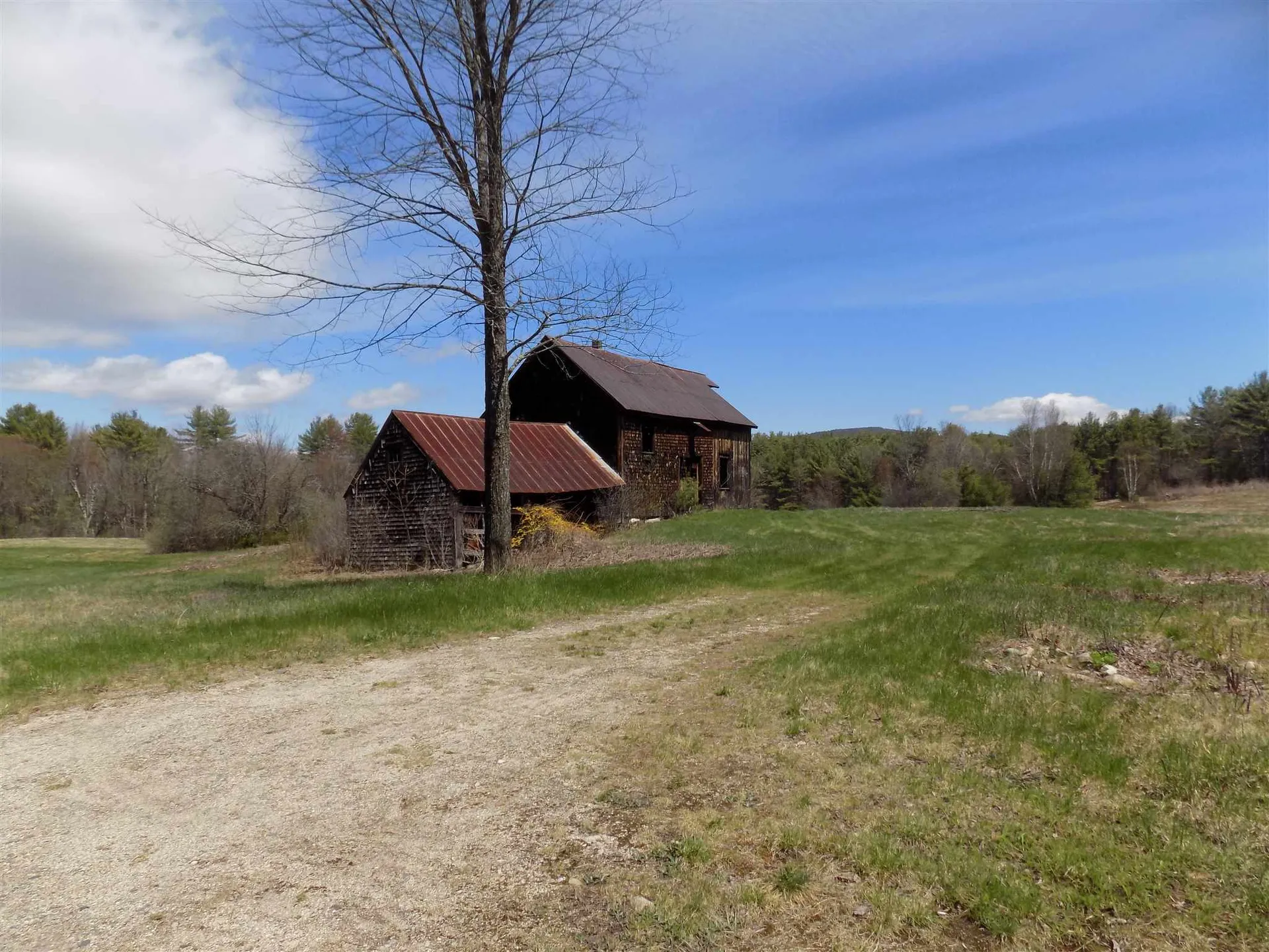 1250 Route 16 Ossipee NH 03864