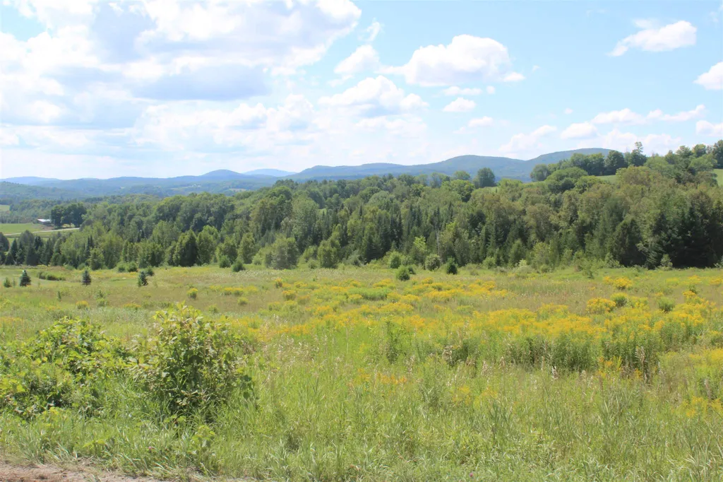 Walden Hill Road Danville VT 05828