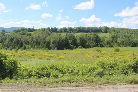 Walden Hill Road Danville VT 05828