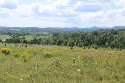 Walden Hill Road Danville VT 05828