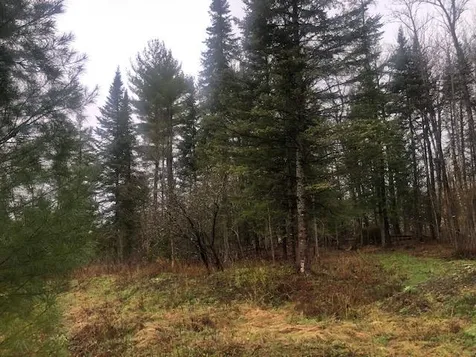 185 Center Road Hardwick VT 05843