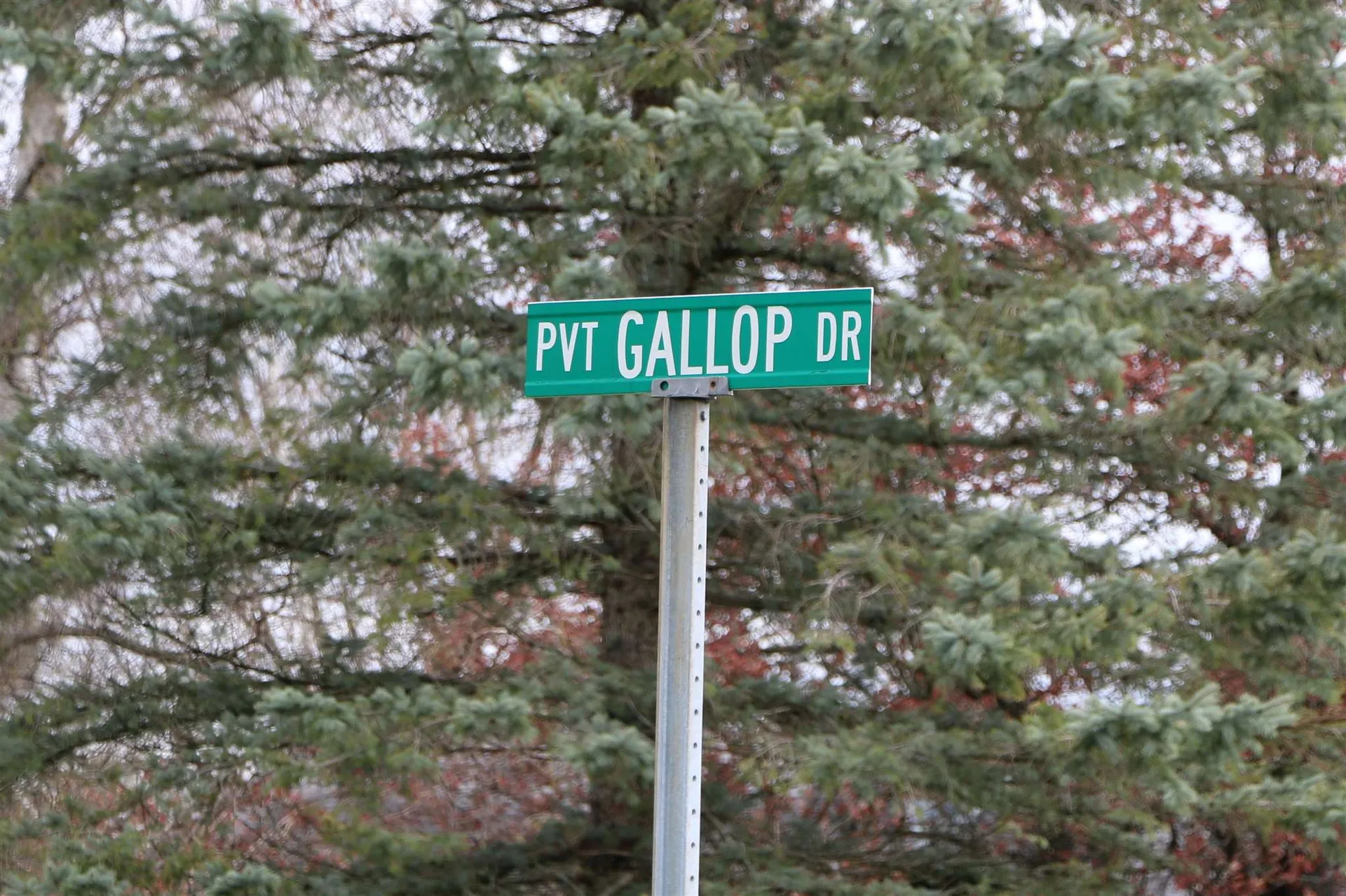 104 Gallop Drive Williston VT 05495