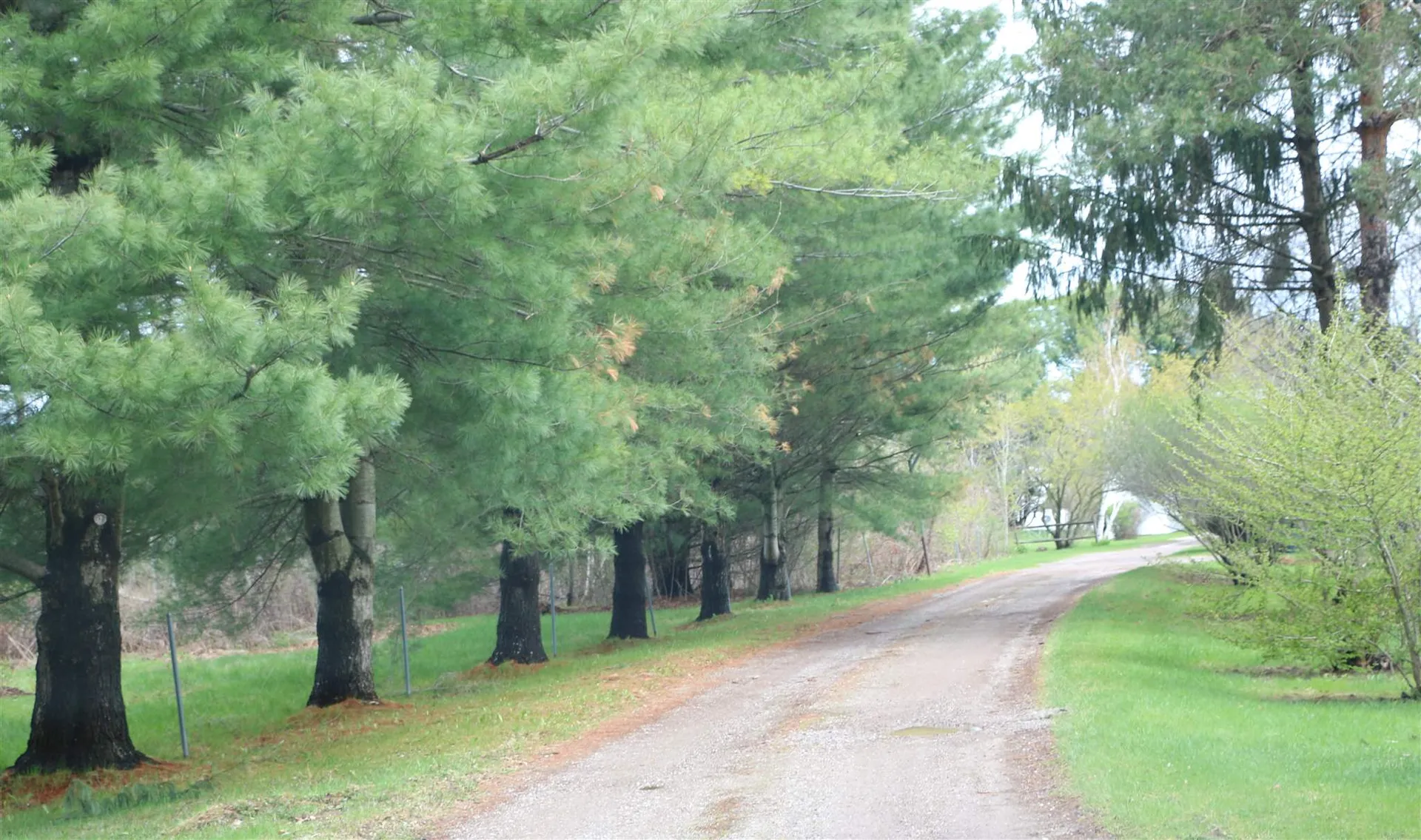 104 Gallop Drive Williston VT 05495