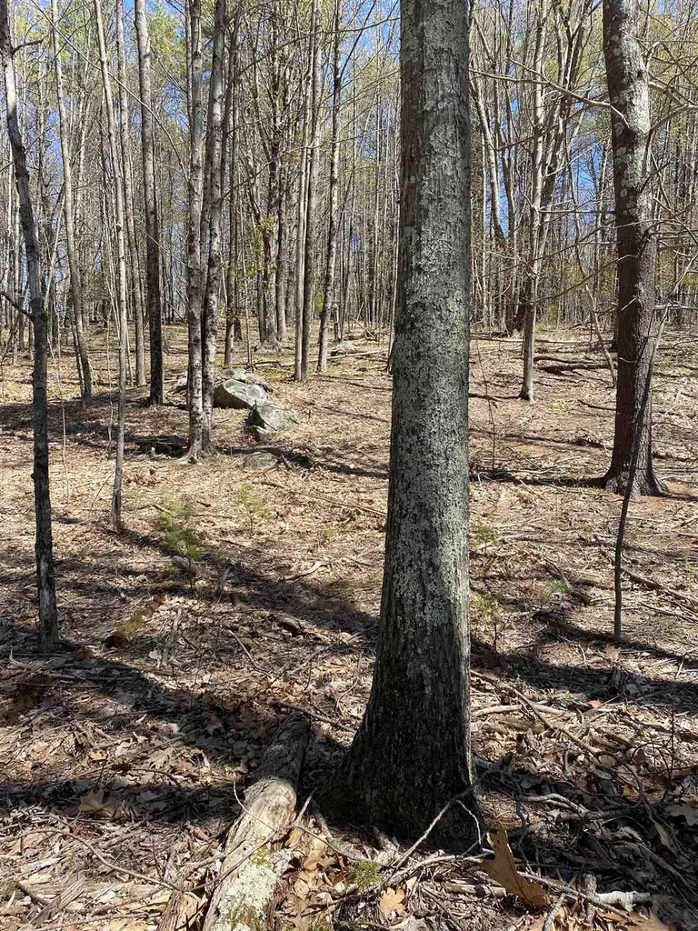 Lot 2 Daniel Cater Road Barrington NH 03825