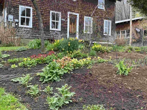 97 Whitcomb Island Road Hyde Park VT 05655