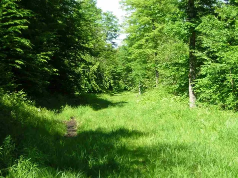 0 Melody Lane Johnson VT 05656