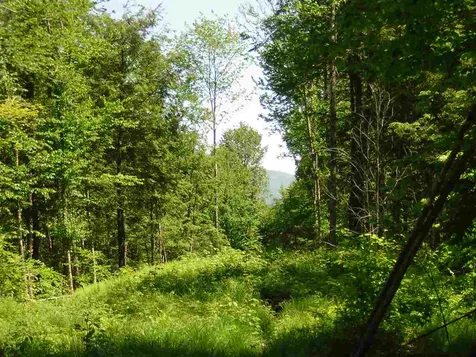 0 Melody Lane Johnson VT 05656