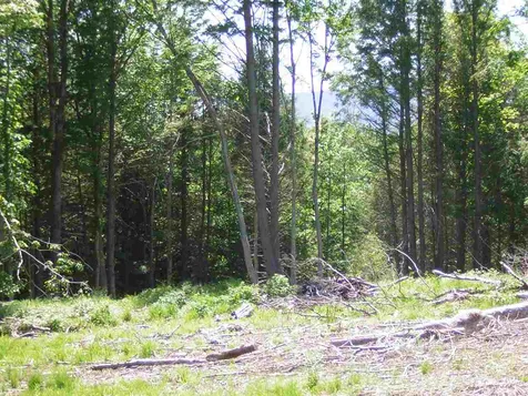 0 Melody Lane Johnson VT 05656