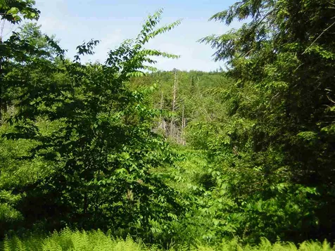 0 Melody Lane Johnson VT 05656