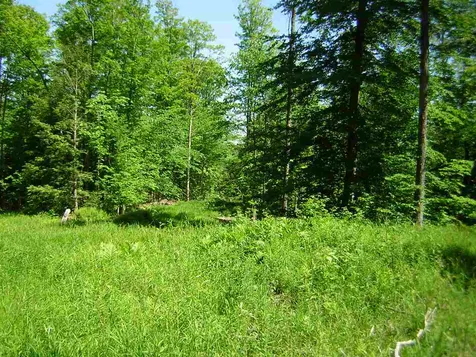 0 Melody Lane Johnson VT 05656