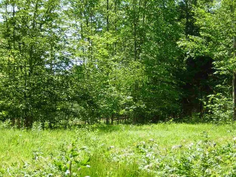 0 Melody Lane Johnson VT 05656
