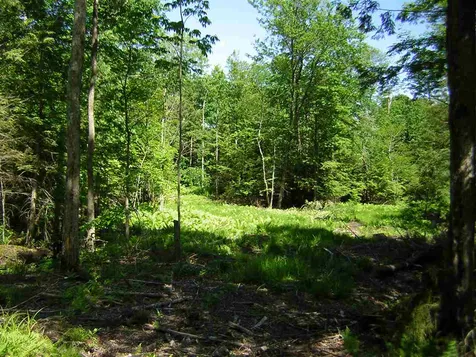 0 Melody Lane Johnson VT 05656