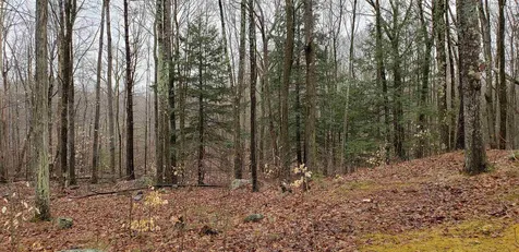 325 Mountain Avenue Northwood NH 03261