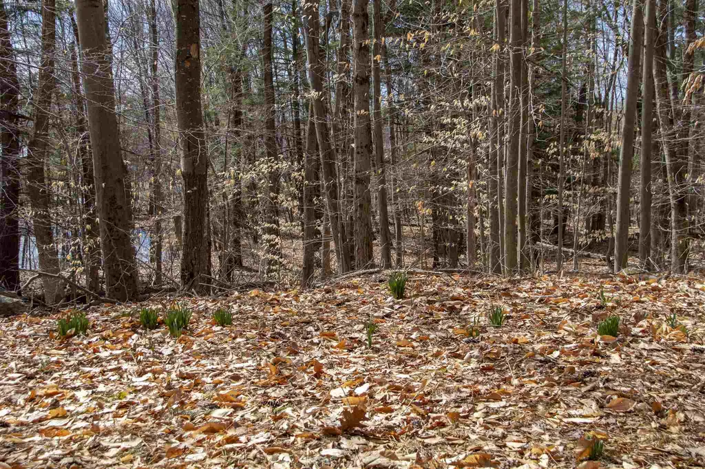 33 Old Candia Road Deerfield NH 03037