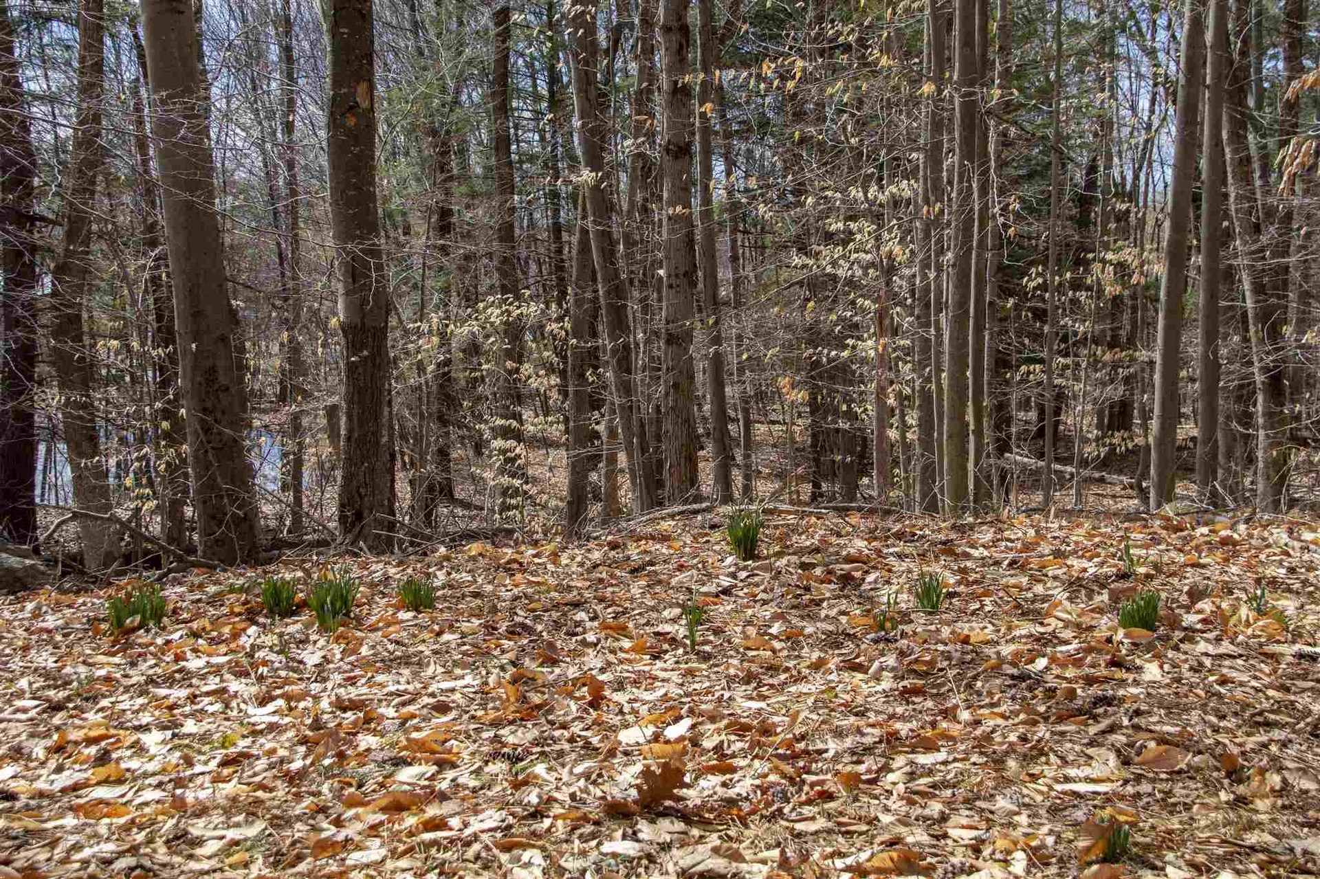 33 Old Candia Road Deerfield NH 03037