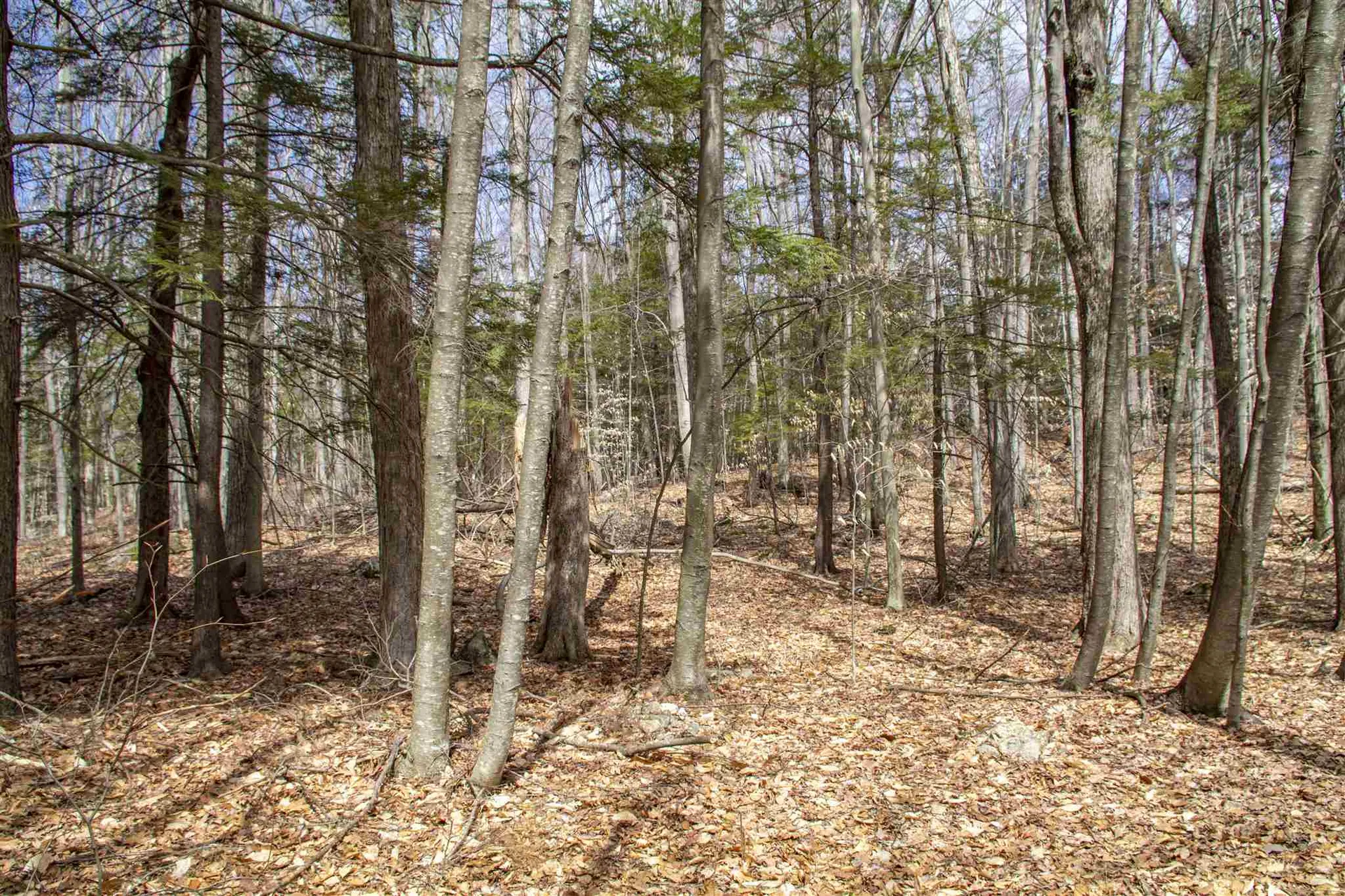 33 Old Candia Road Deerfield NH 03037