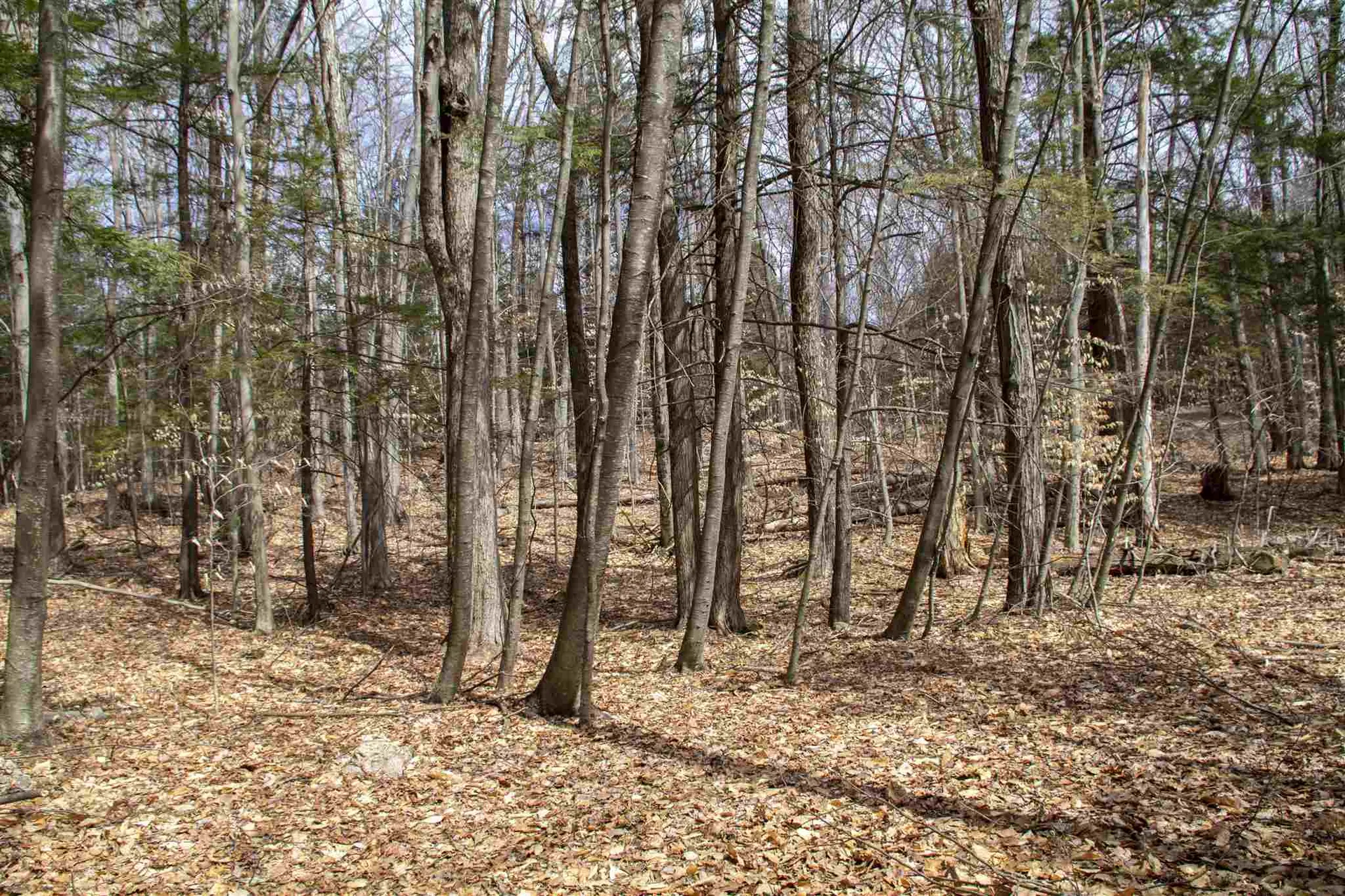 33 Old Candia Road Deerfield NH 03037