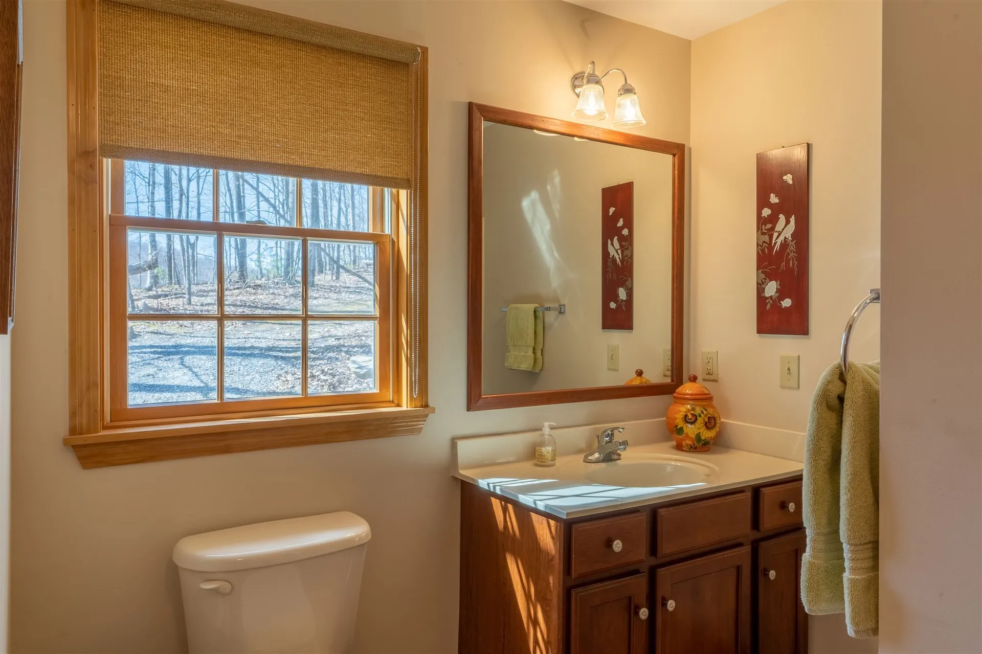 19 Brebeuf Terrace Leicester VT 05733