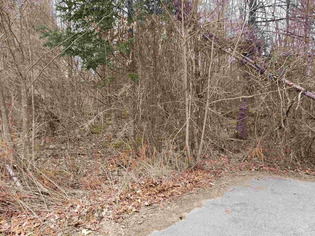 0 Anna Drive Whitefield NH 03598