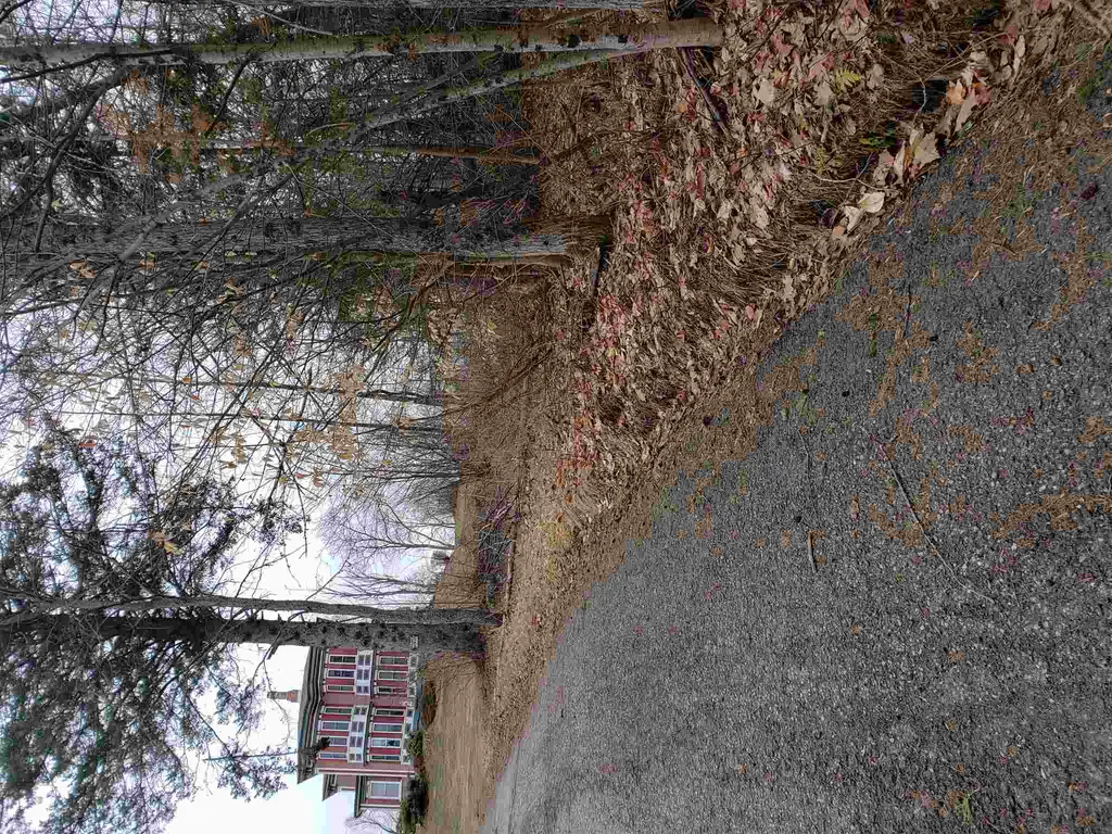 0 Anna Drive Whitefield NH 03598