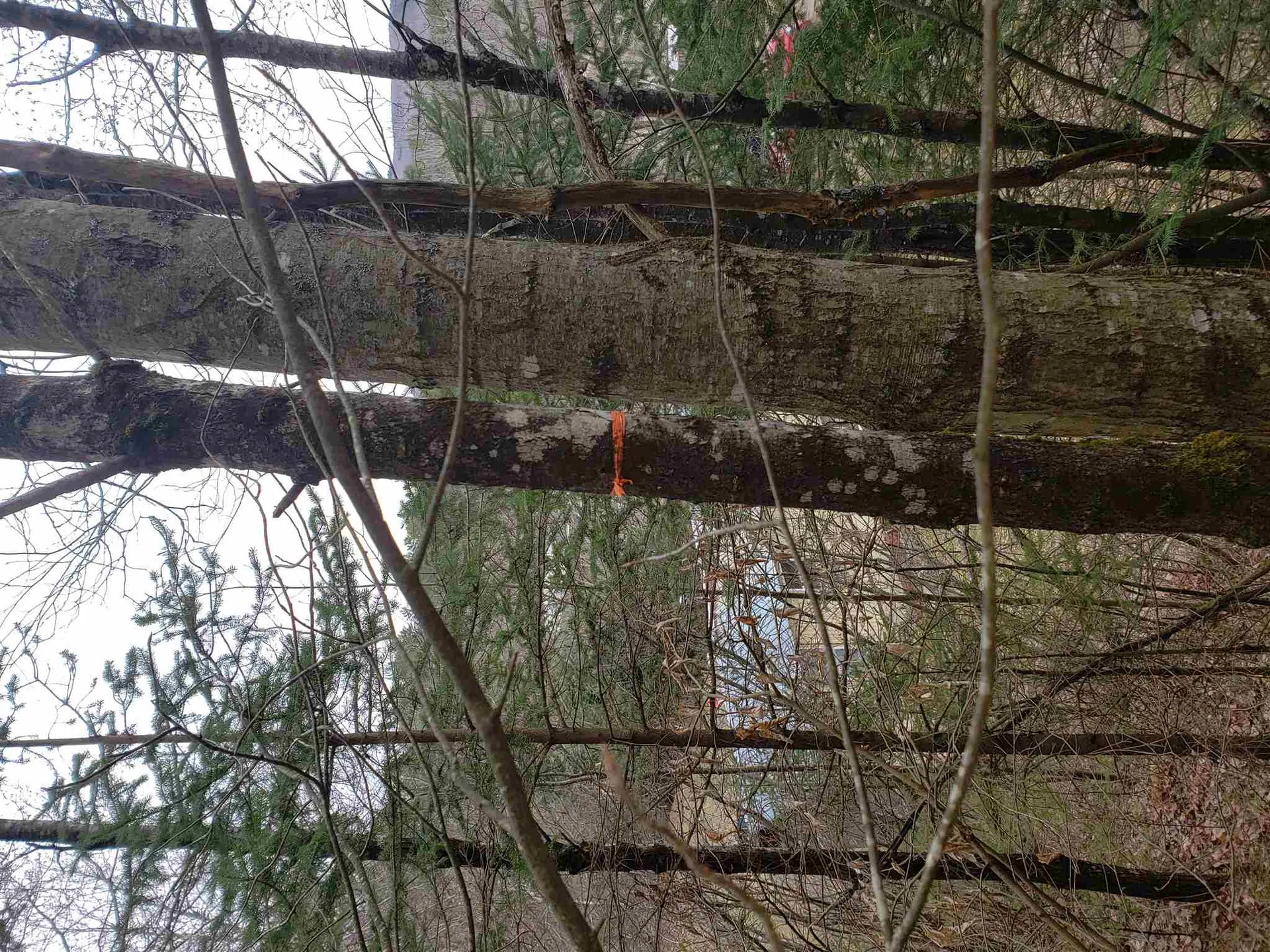 0 Anna Drive Whitefield NH 03598