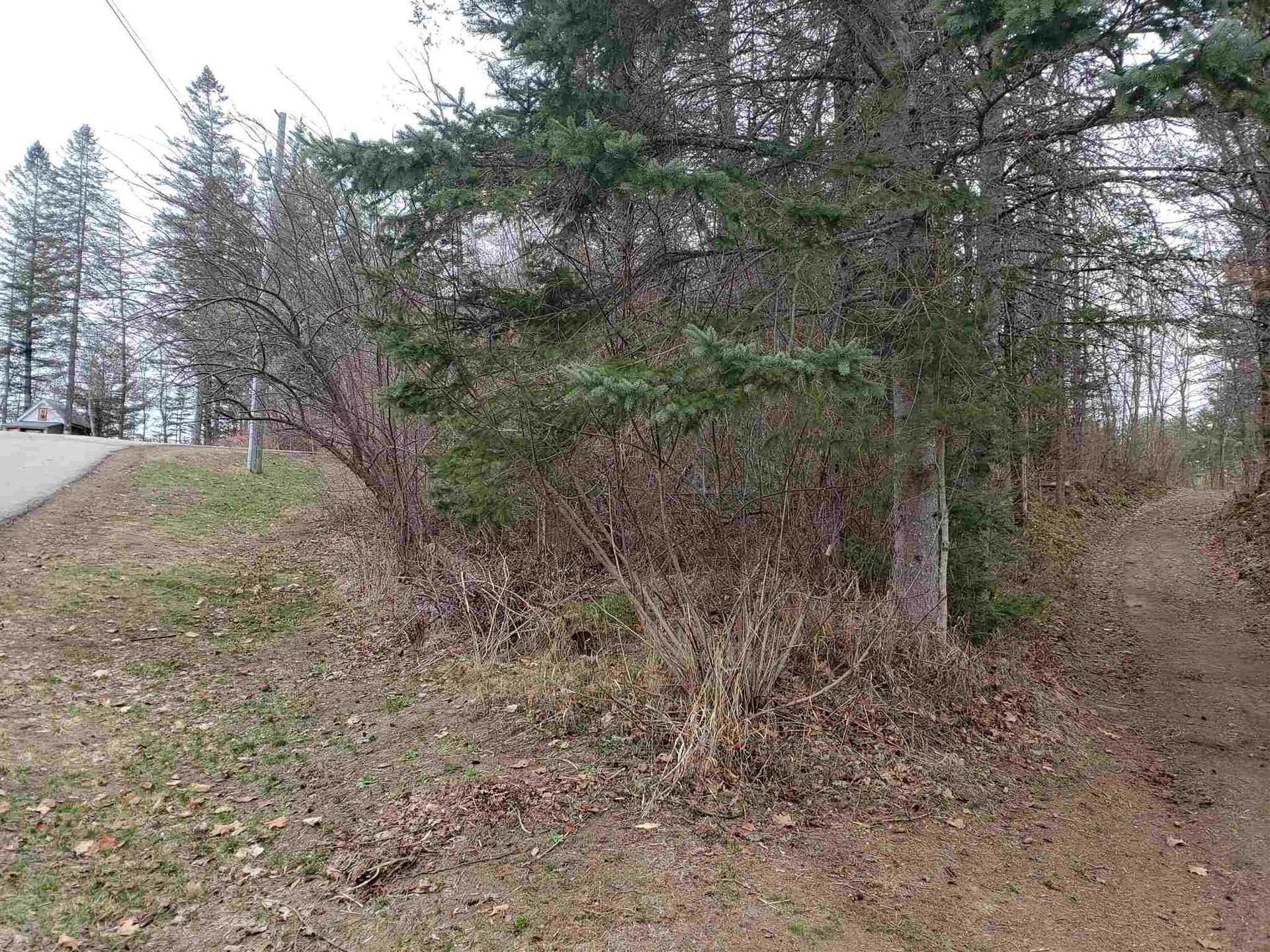 0 Anna Drive Whitefield NH 03598
