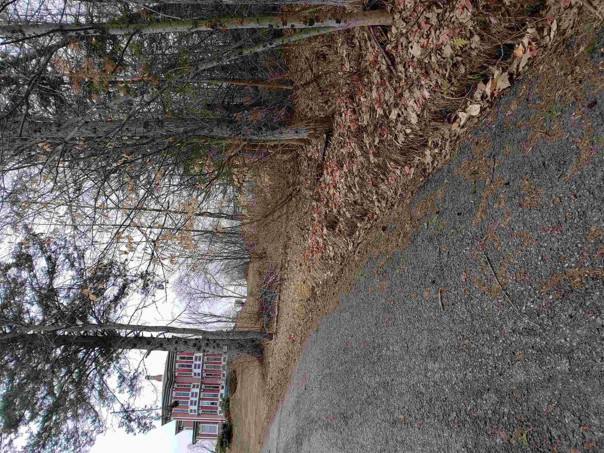 0 Anna Drive Whitefield NH 03598