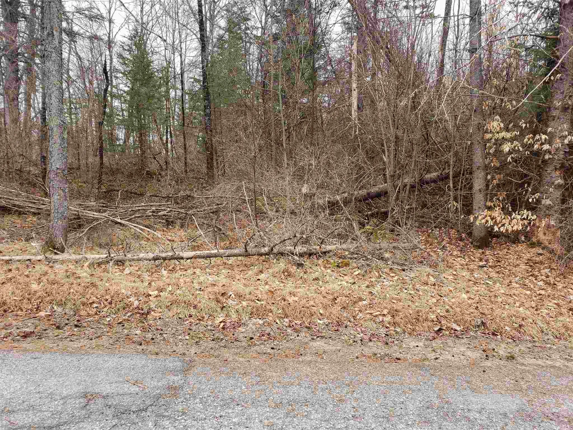 0 Anna Drive Whitefield NH 03598