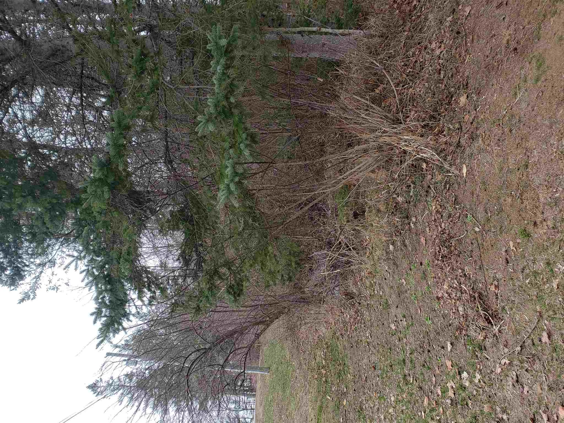 0 Anna Drive Whitefield NH 03598