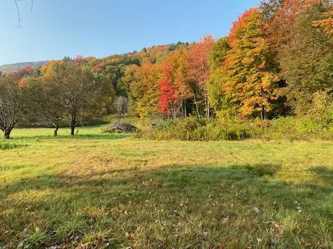 64 Beech Hill Road Stowe VT 05672